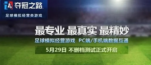 太平洋在线游戏下载：中超越来越像英超 中超联赛步入国际化发展道路