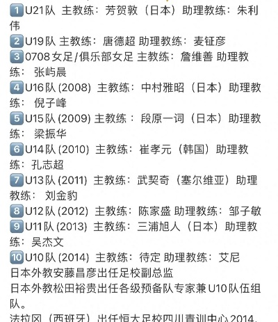 U20国家足球队主教练职业生涯路线图大介绍